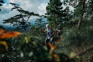 BIB: 
                            <button type="button" onclick="openModal(25260851)" class="btn btn-primary btn-sm float-right btn-popup" data-toggle="modal" data-target=".modal-high-quality">
                        <i class="fas fa-shopping-cart"></i> Add to Cart
                    </button>
                                            <button type="button" onclick="isThisMe(25260851, true)" class="btn btn-success btn-sm float-right btn-popup btn-isme hidden" data-toggle="tooltip" data-placement="bottom" title="นี่คือรูปของคุณใช่ไหม คลิกที่นี่เพื่อเอาเข้าอัลบั้ม">
                        <i class="fas fa-plus"></i> Add to album
                    </button>
                    <button type="button" onclick="isThisMe(25260851, false)" class="btn btn-warning btn-sm float-right btn-popup btn-isnotme hidden">
                        <i class="fas fa-ban"></i> Remove from album
                    </button>